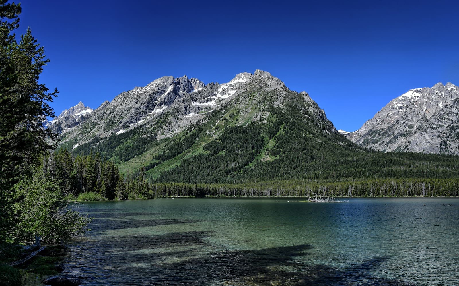 Leigh Lake - Image 1