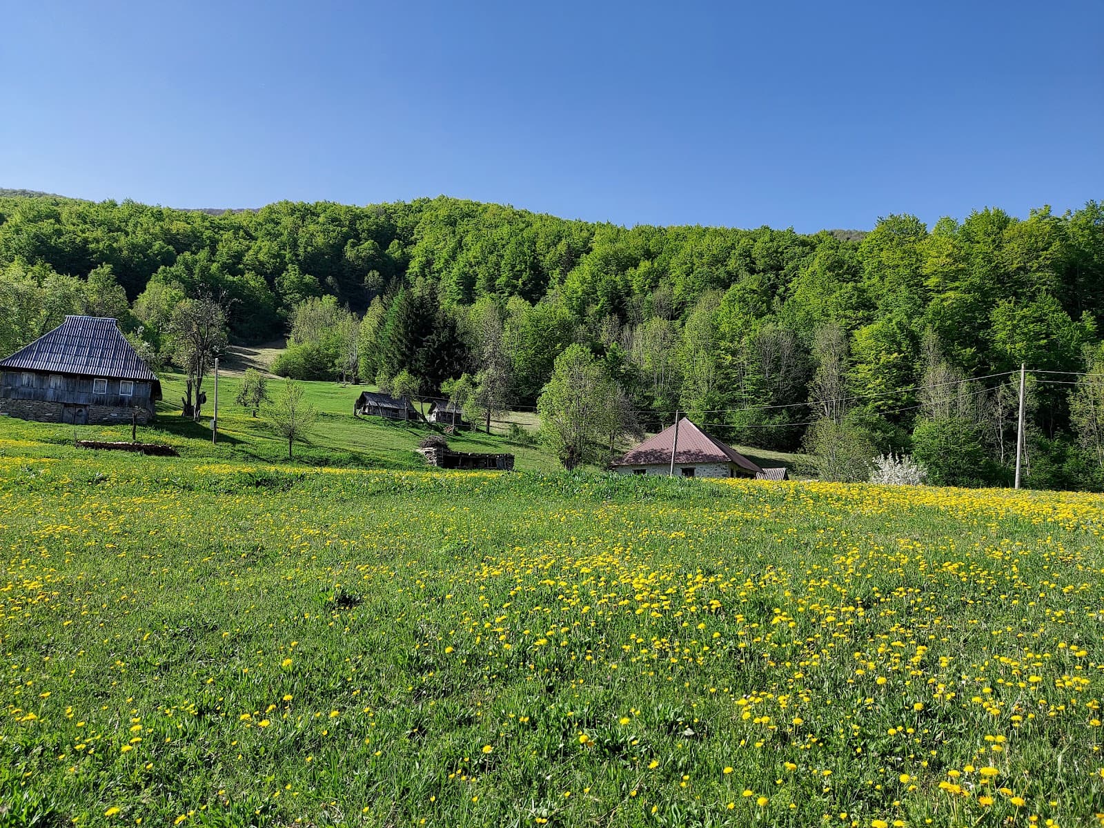 Kraljske Bare - Image 1