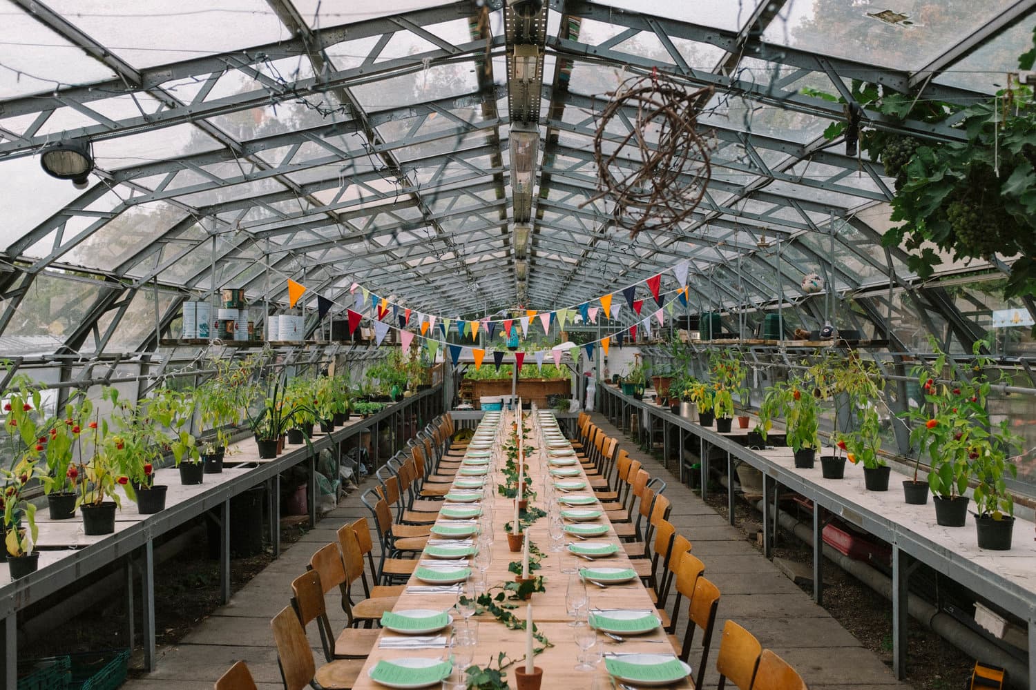 Walled Garden and Community Greenhouses, Brockwell Park - Image 1