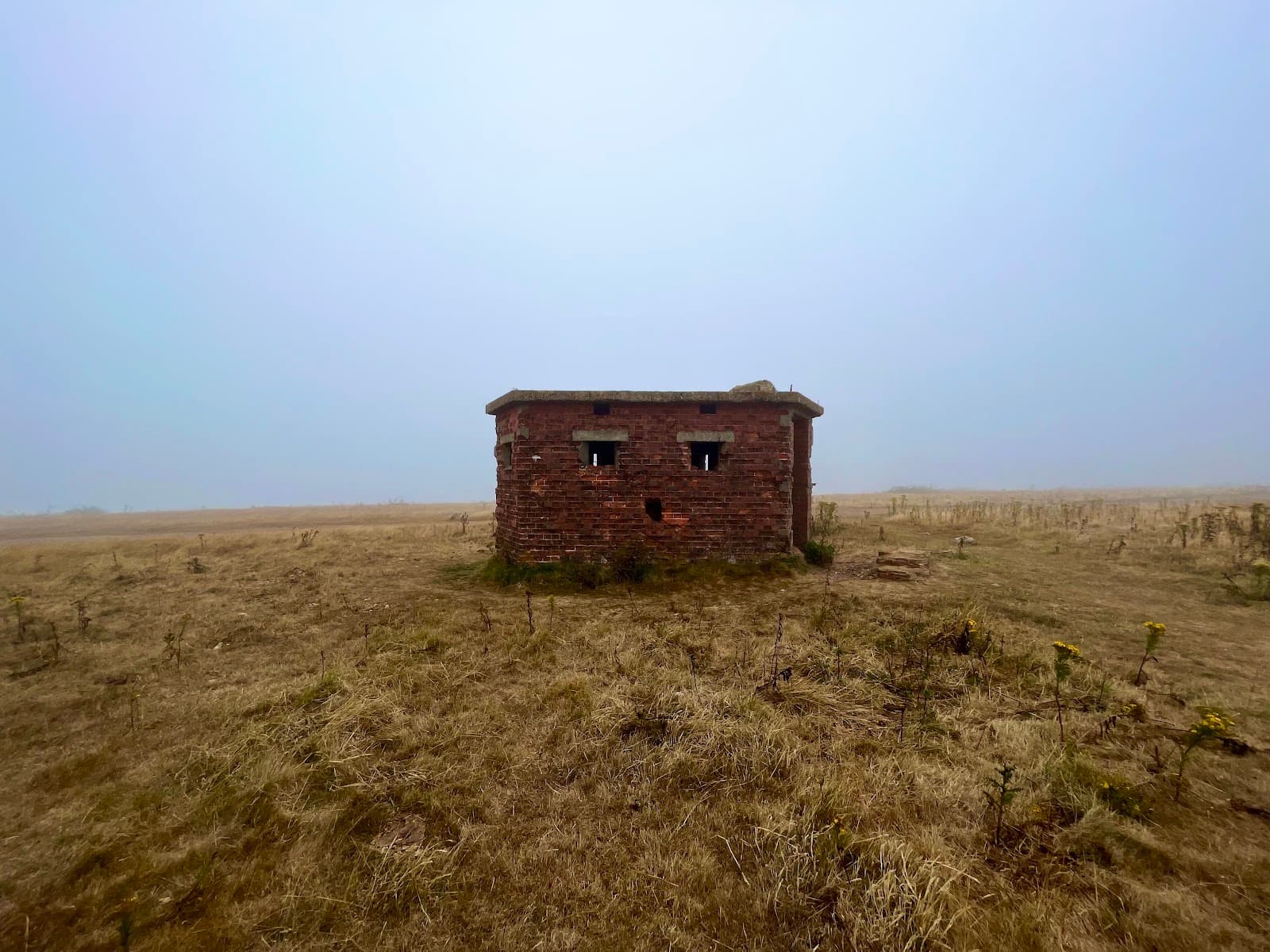 Rew Down - Image 1
