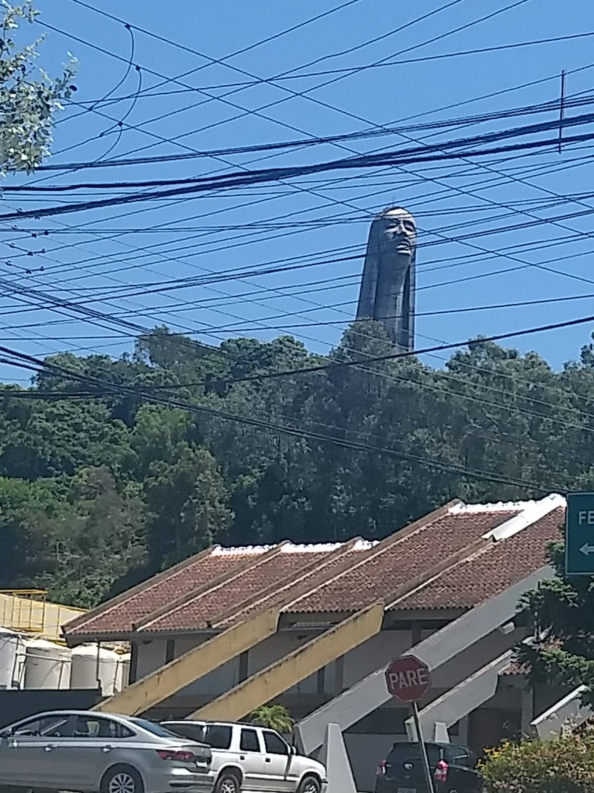Vertical photo