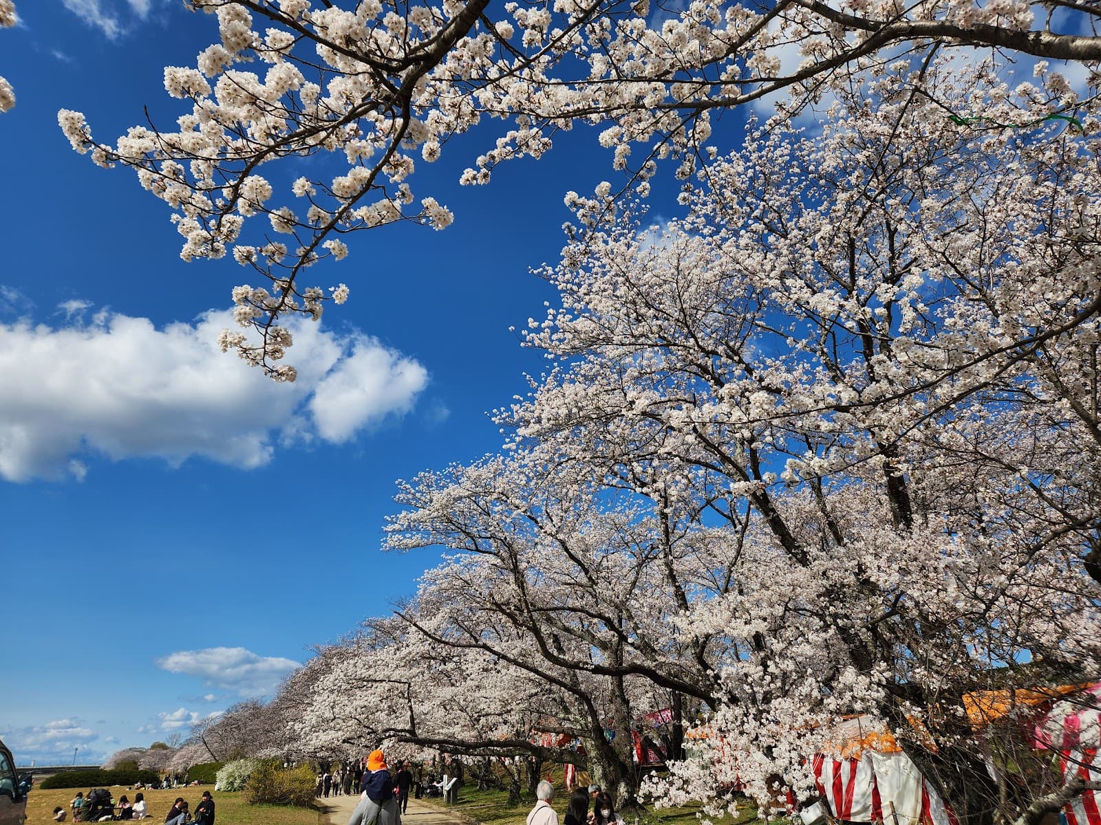 Miyagawa Tsutsumi Park - Image 1