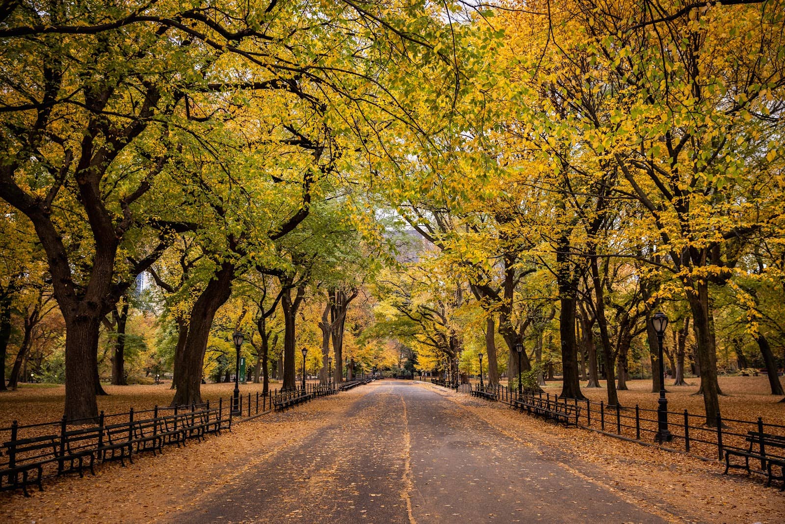 Central Park Polaroids