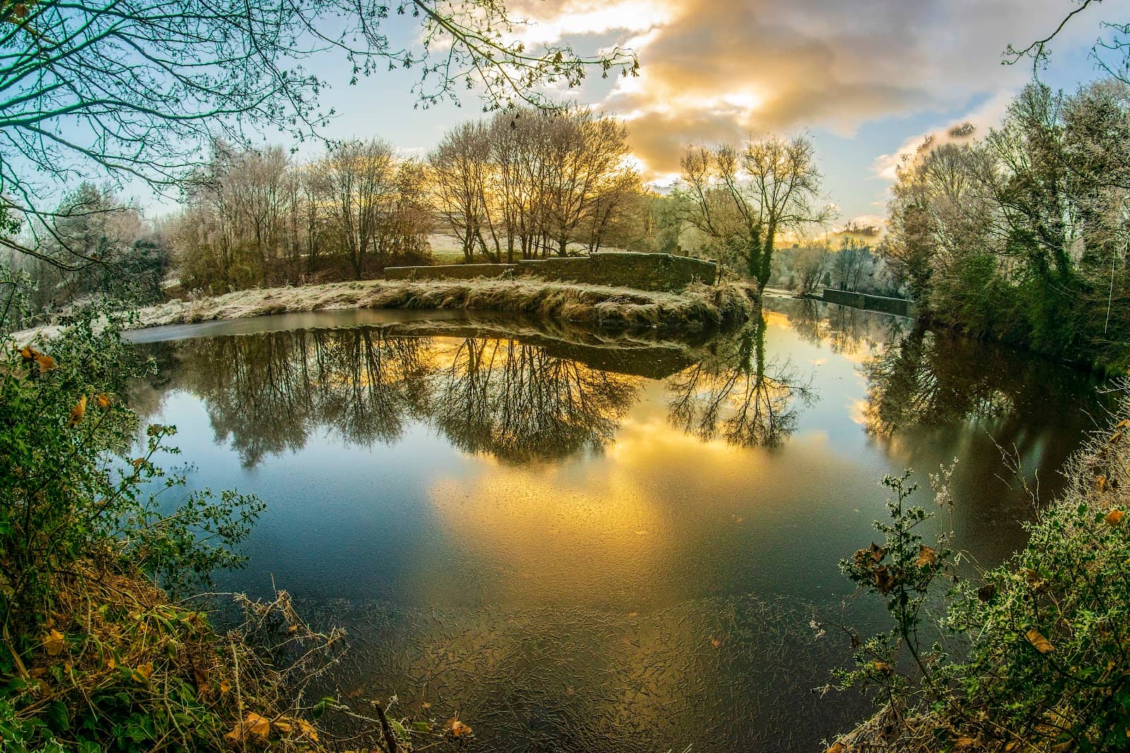 Vertical photo