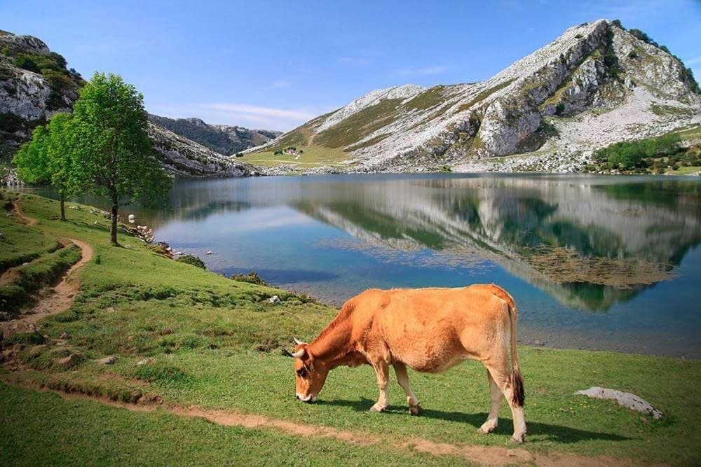 Lakes of Covadonga - Image 1
