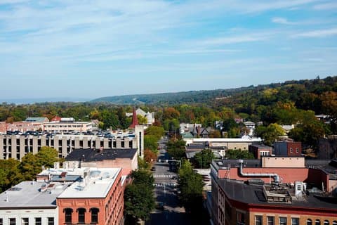 Ithaca Commons - Image 1