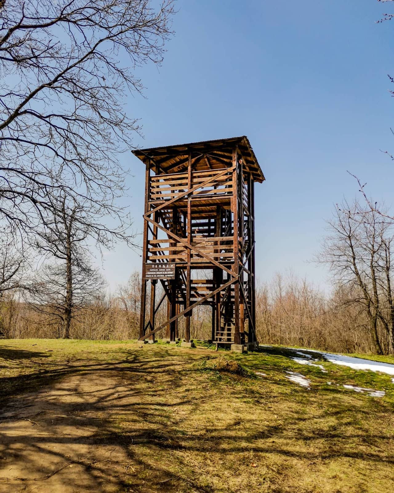 Vertical photo