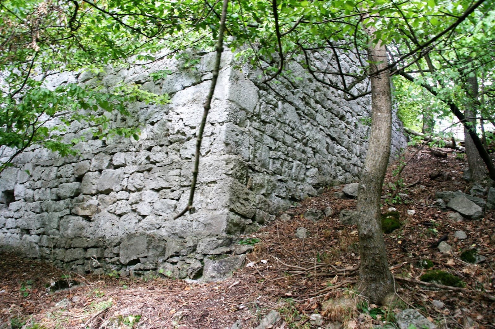 Scharfeneck Ruins - Image 1