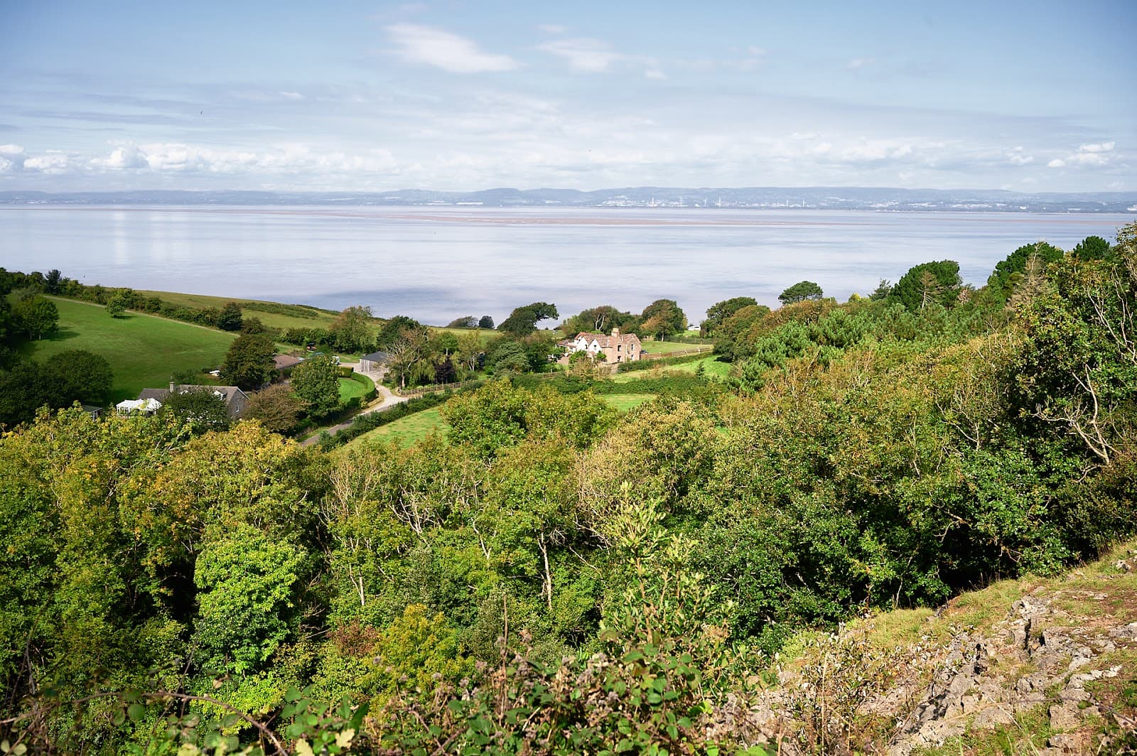 Walton Common - Image 1
