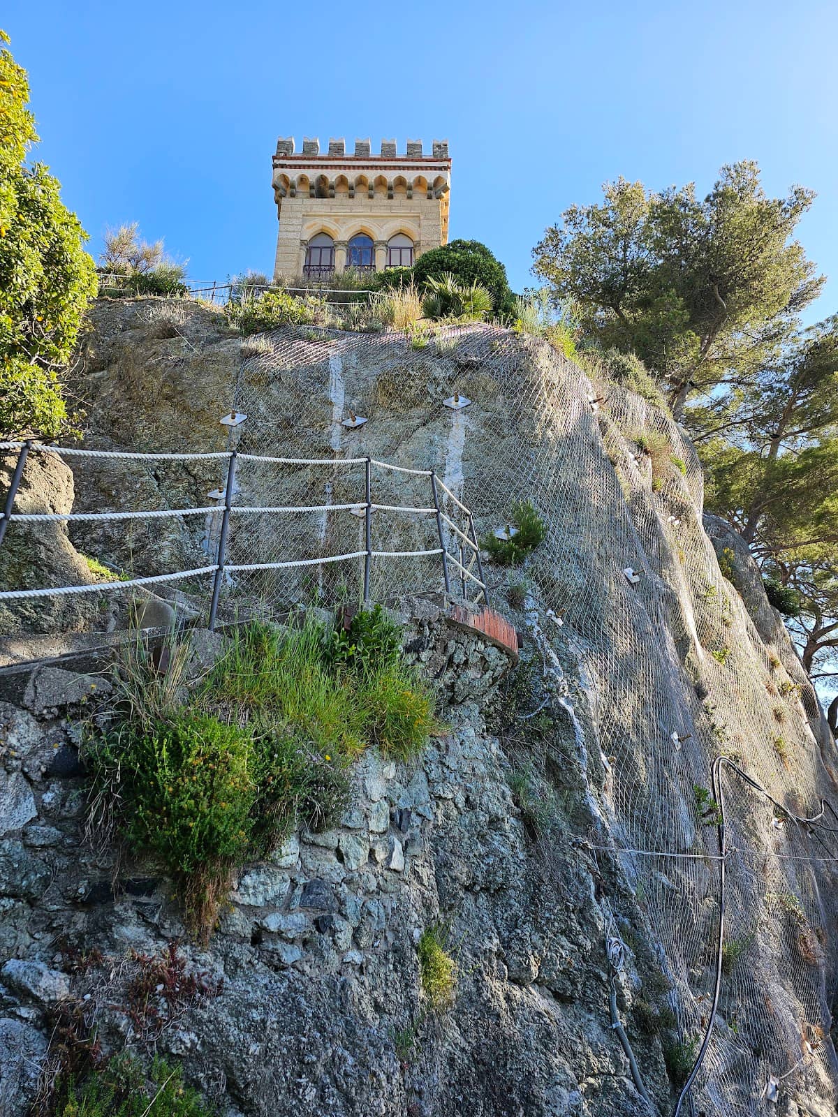 Vertical photo
