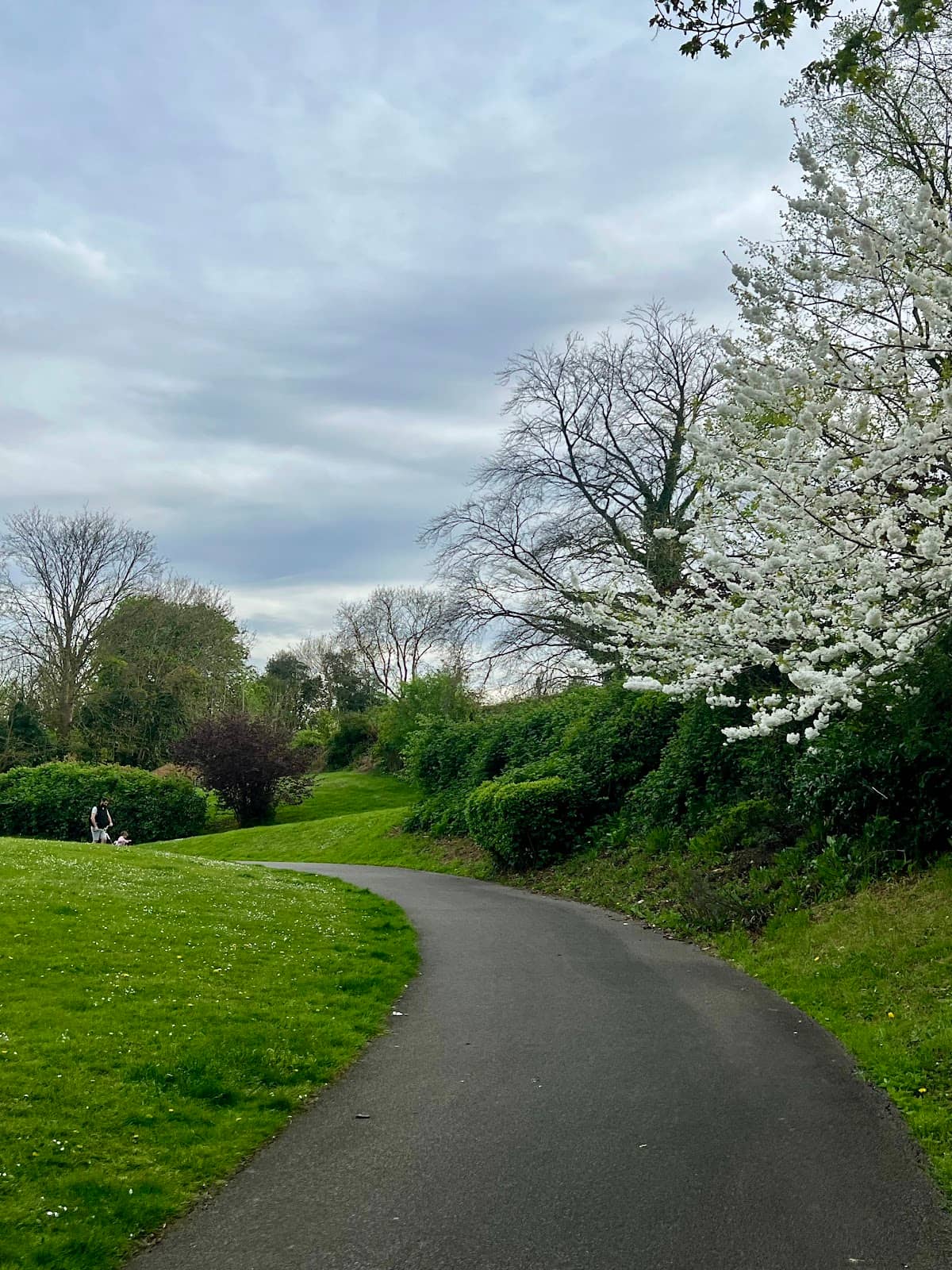 Peaceful Walking Paths