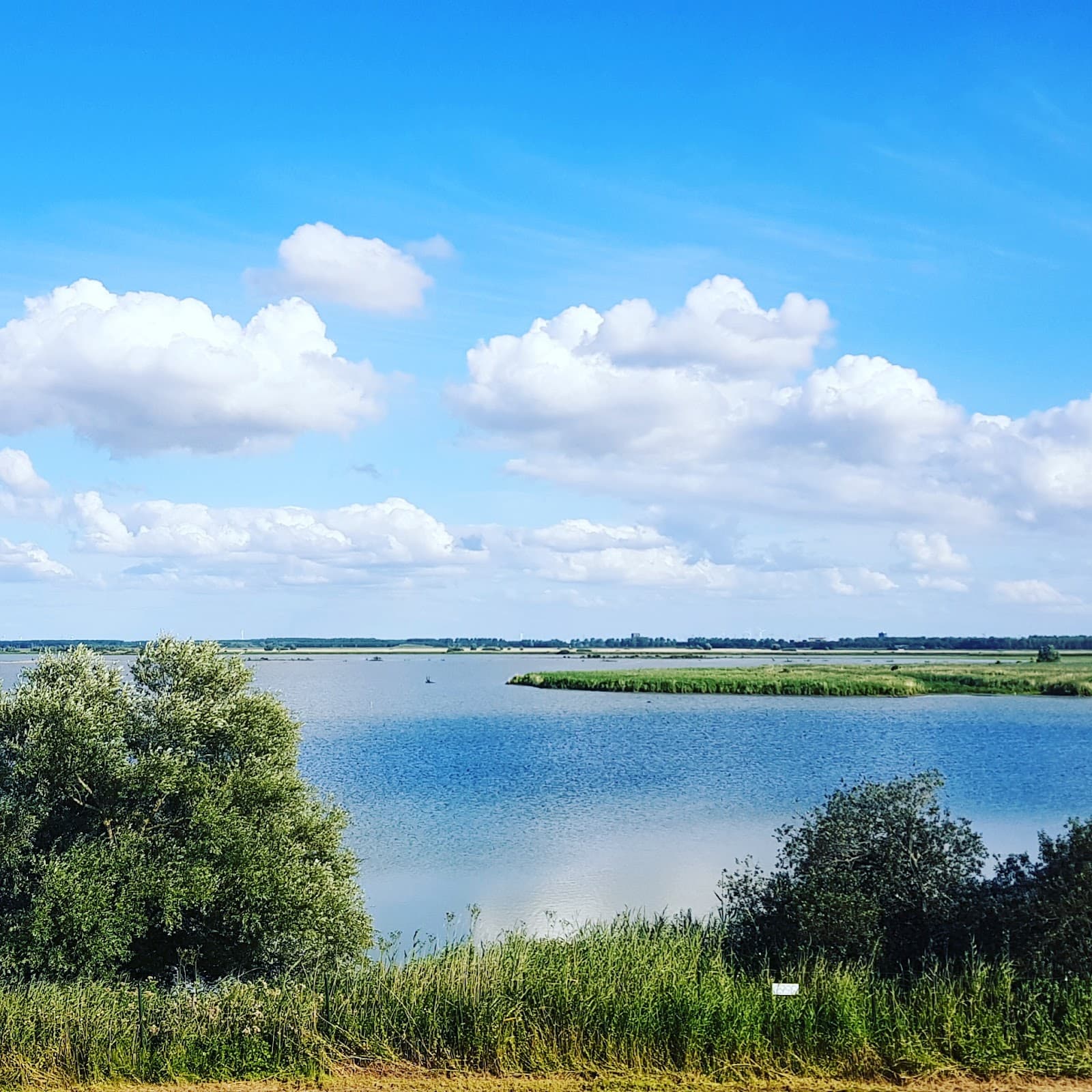 Nieuw Land National Park - Image 1