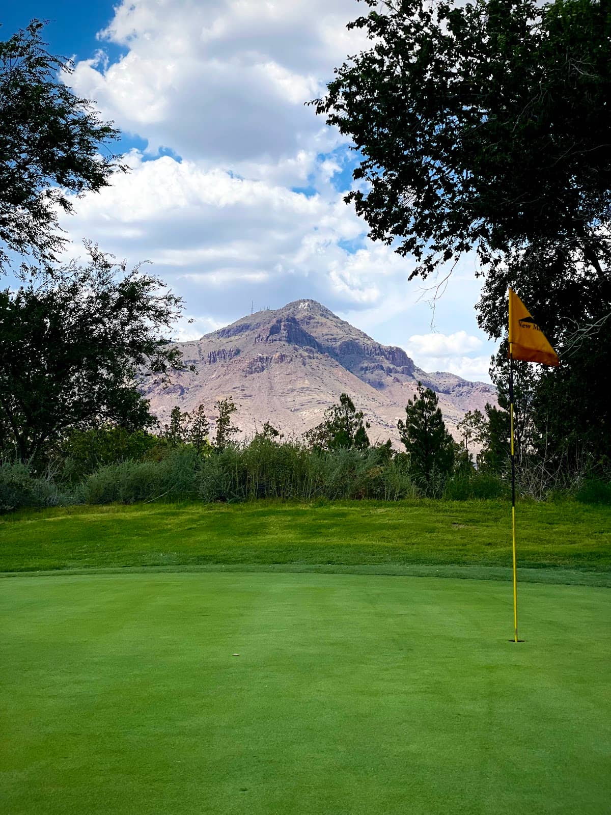 Desert Oasis Ambiance