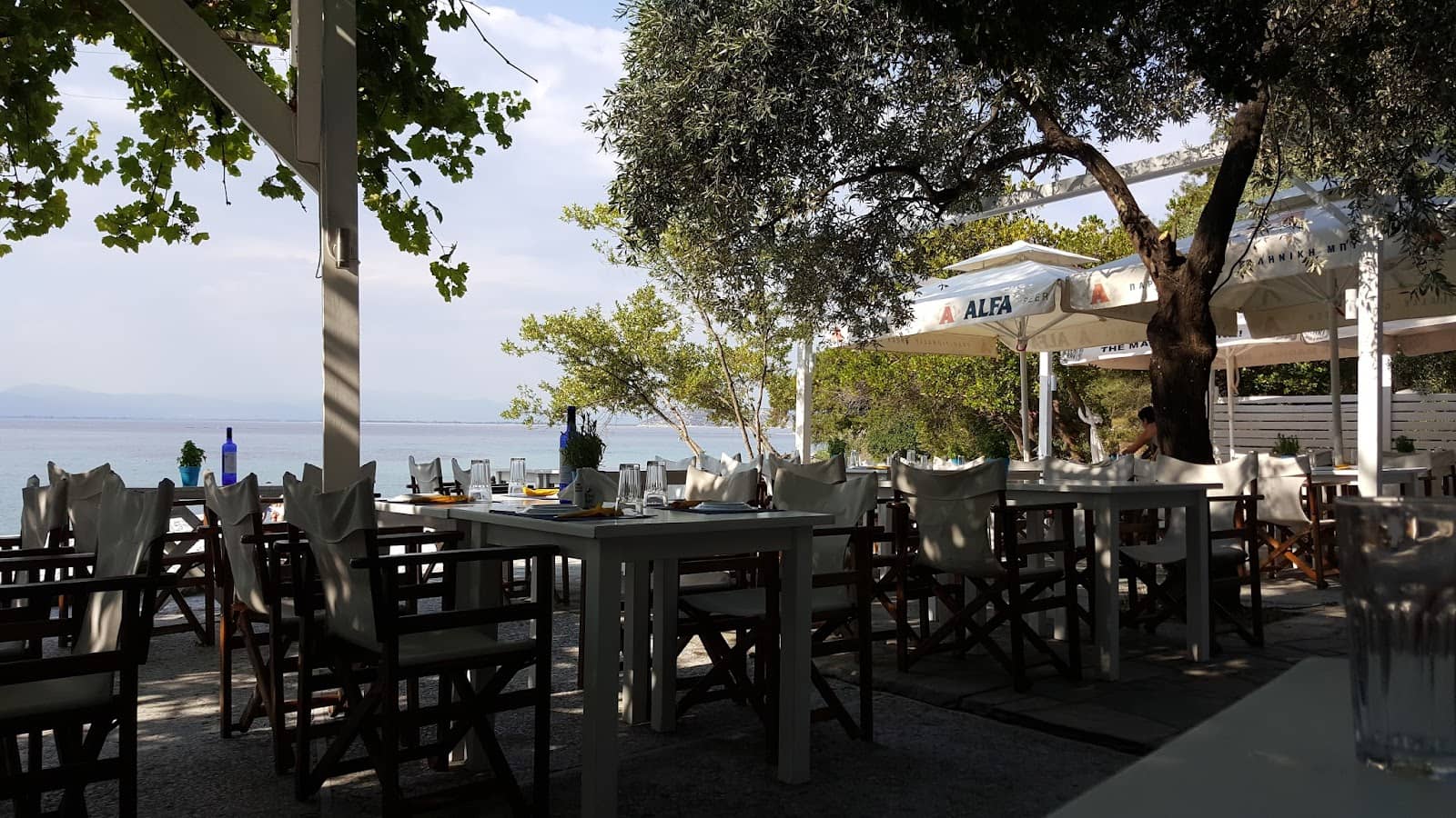 Charming Cove Ambiance