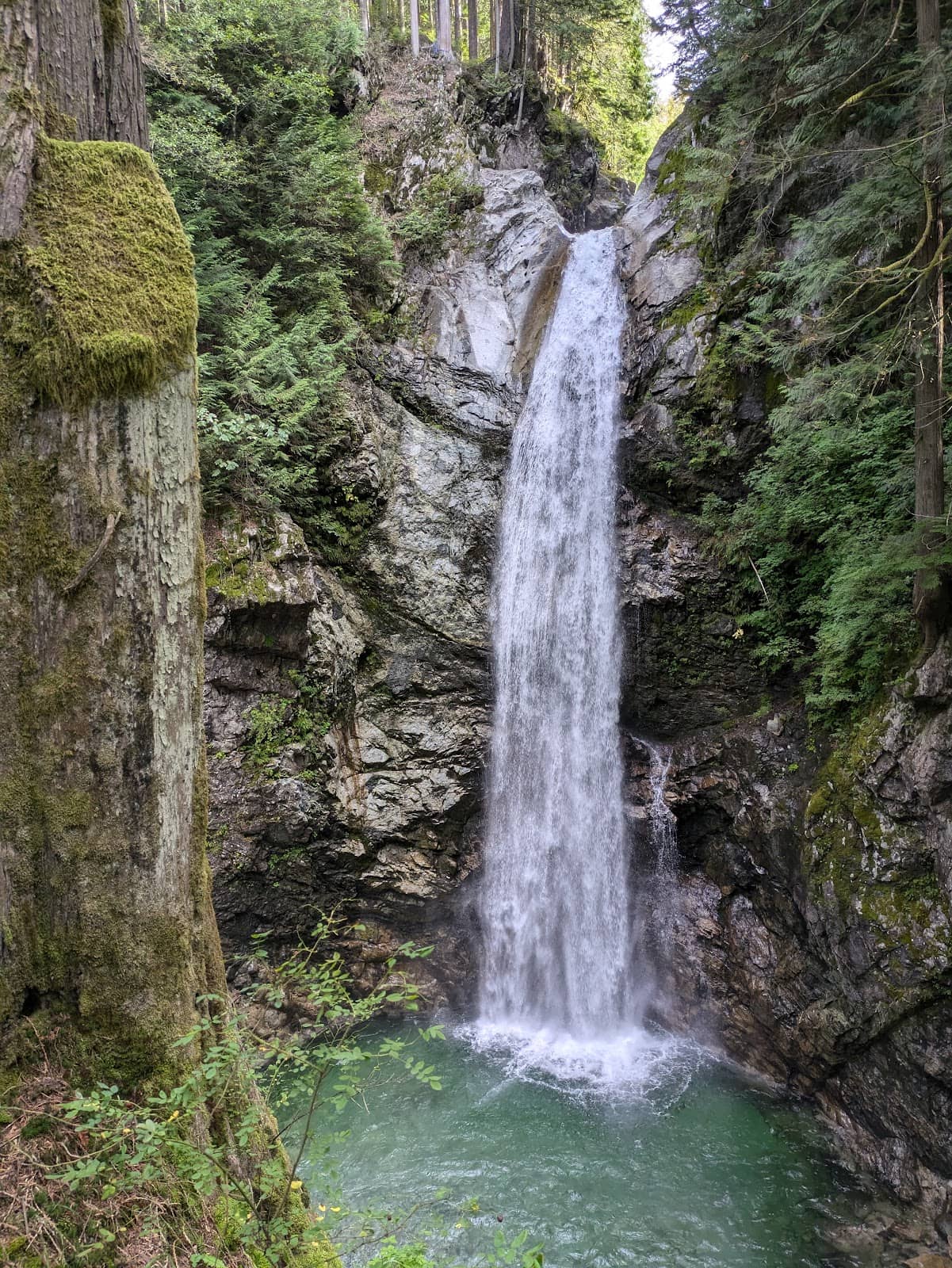 Natural Pools