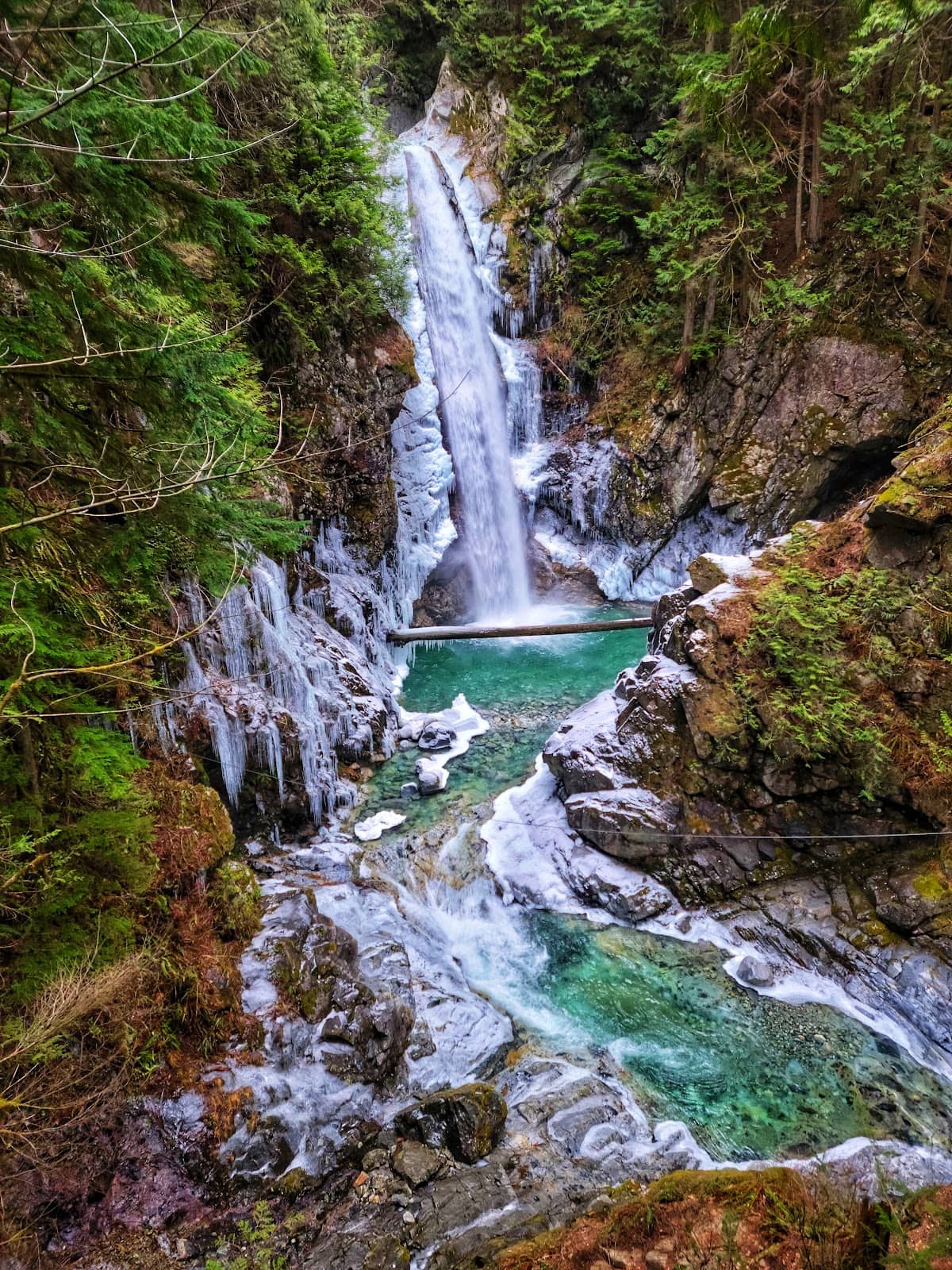 Vertical photo