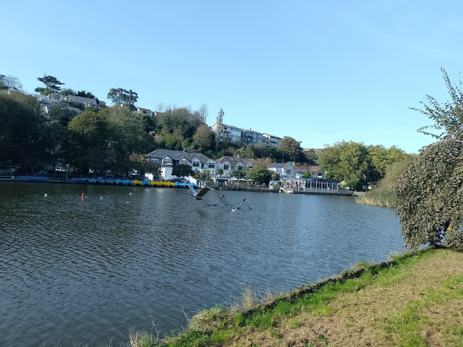 Trenance neighbourhood - Image 1