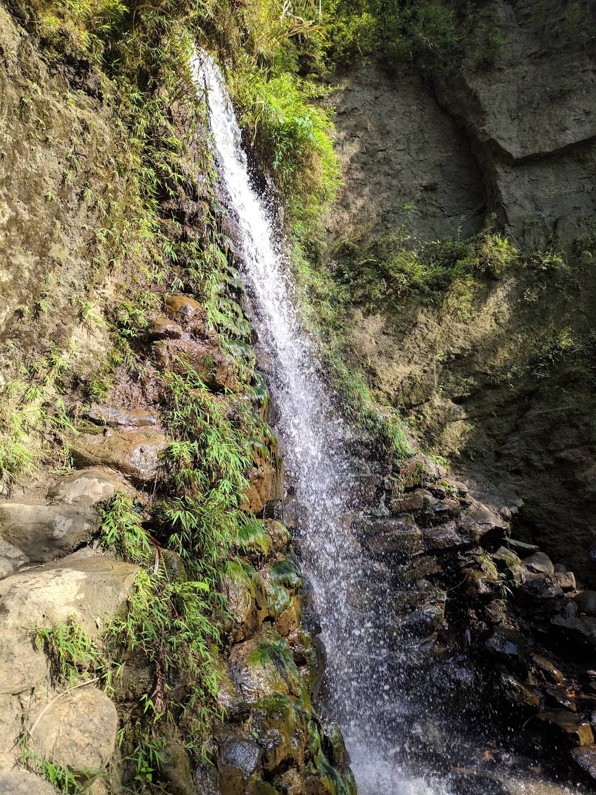 Vertical photo