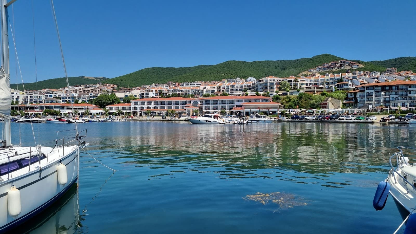 Marina Dinevi - Image 1