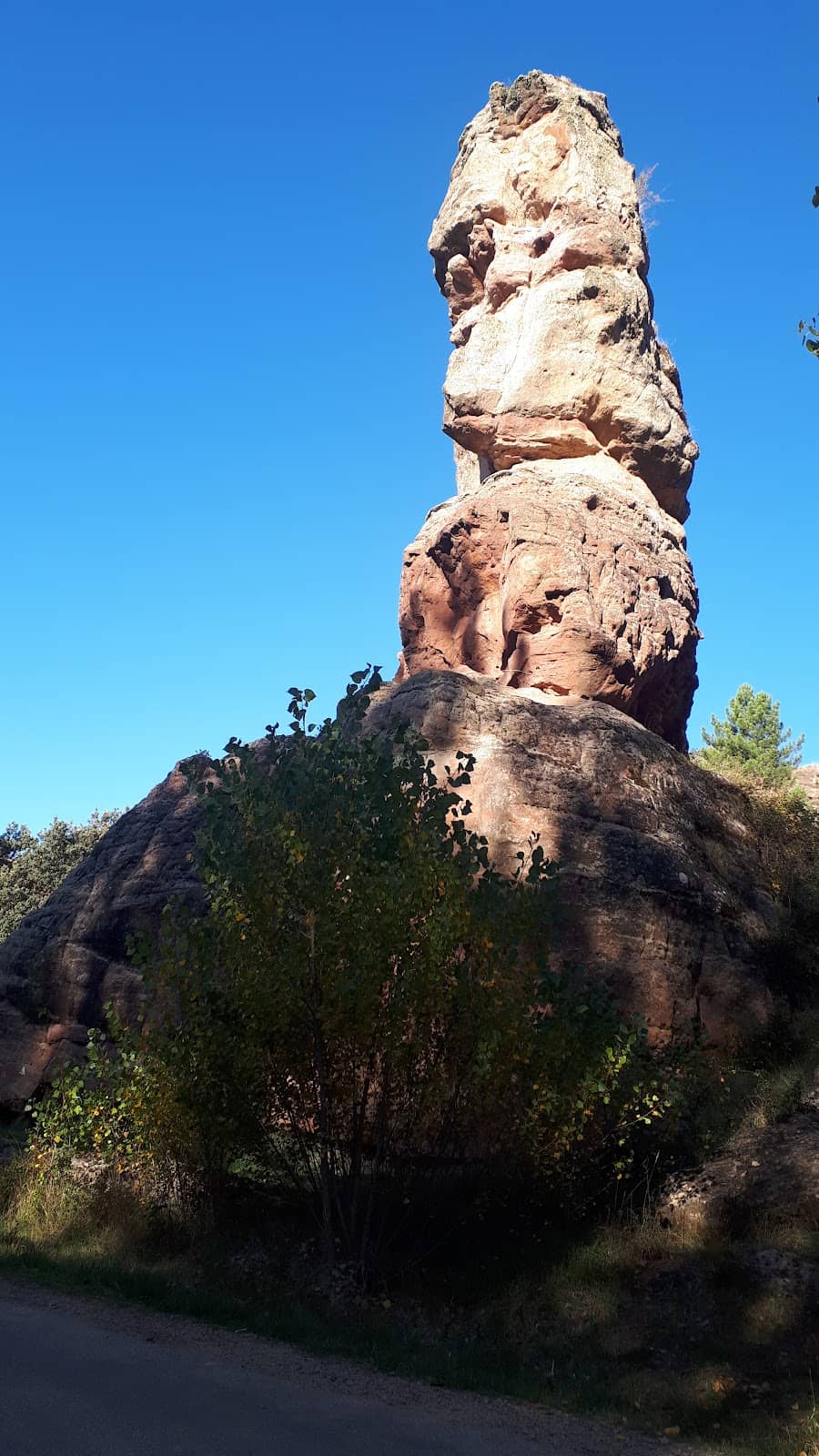 Vertical photo