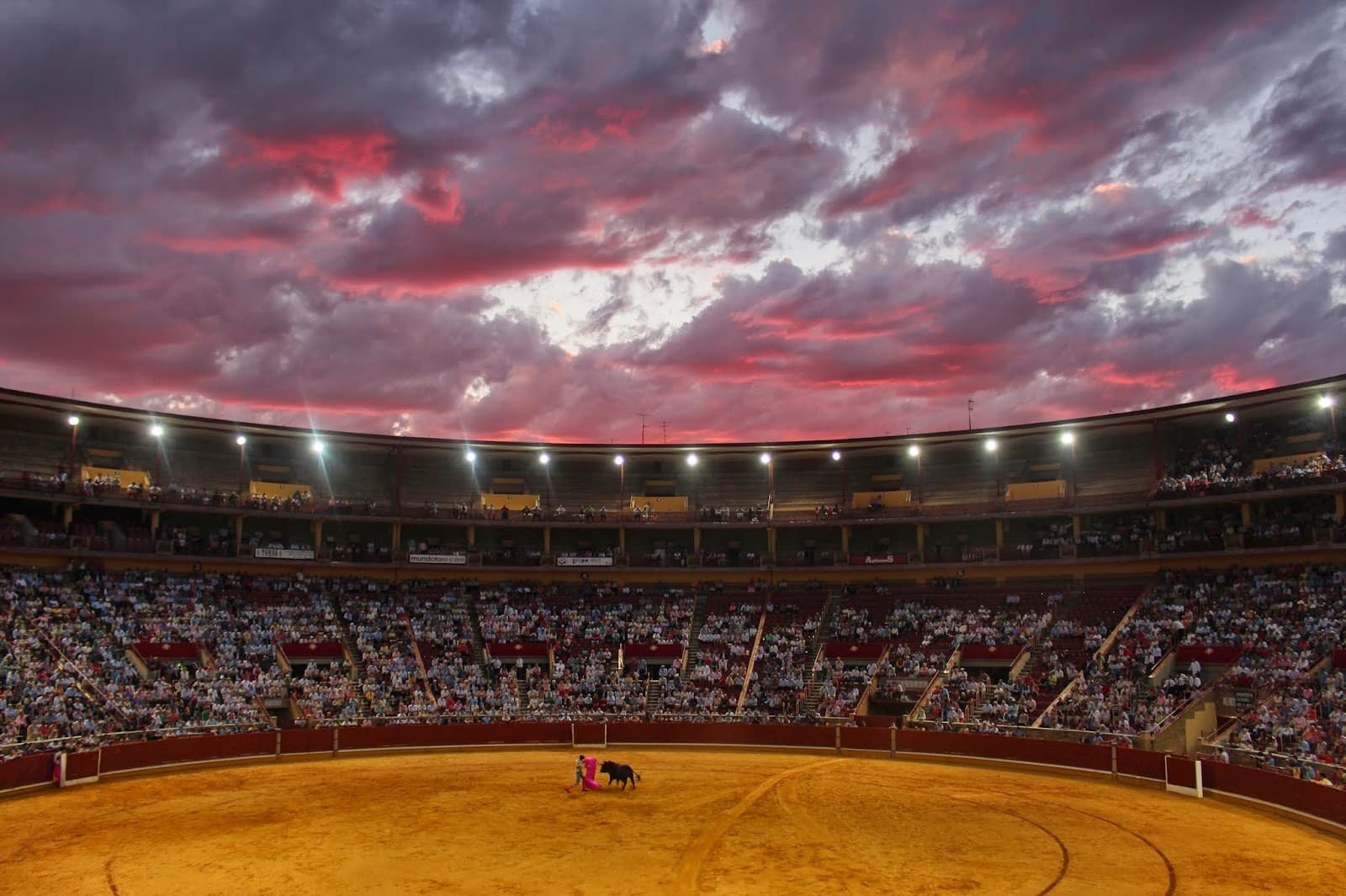 Los Califas Bullring Córdoba - Image 1