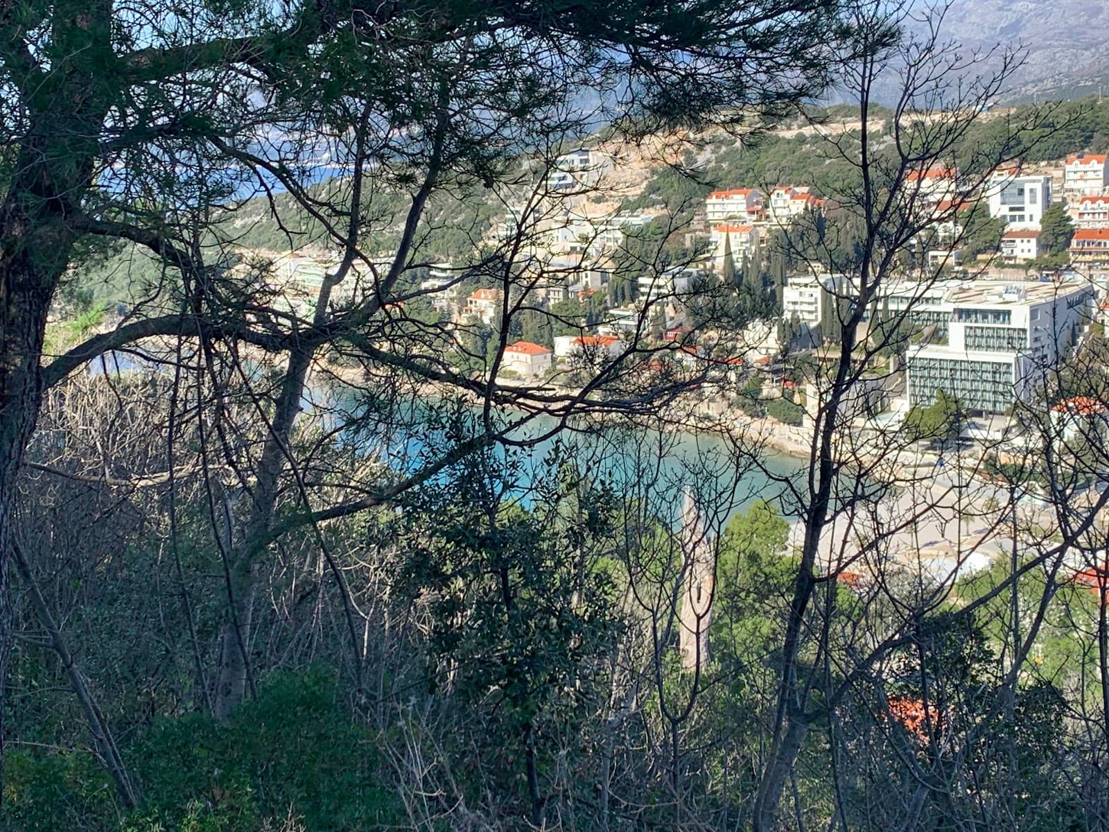 Vertical photo
