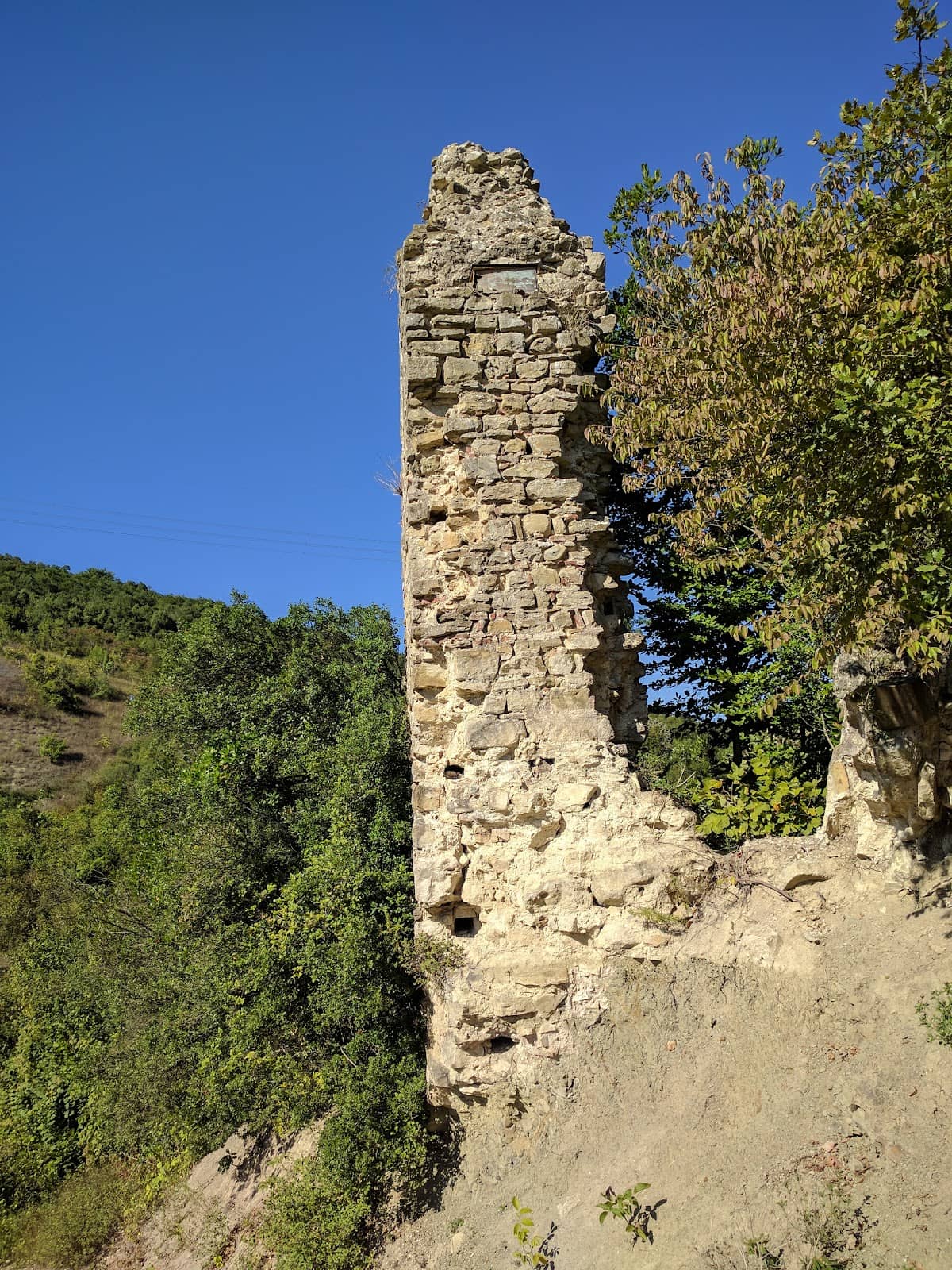 Vertical photo