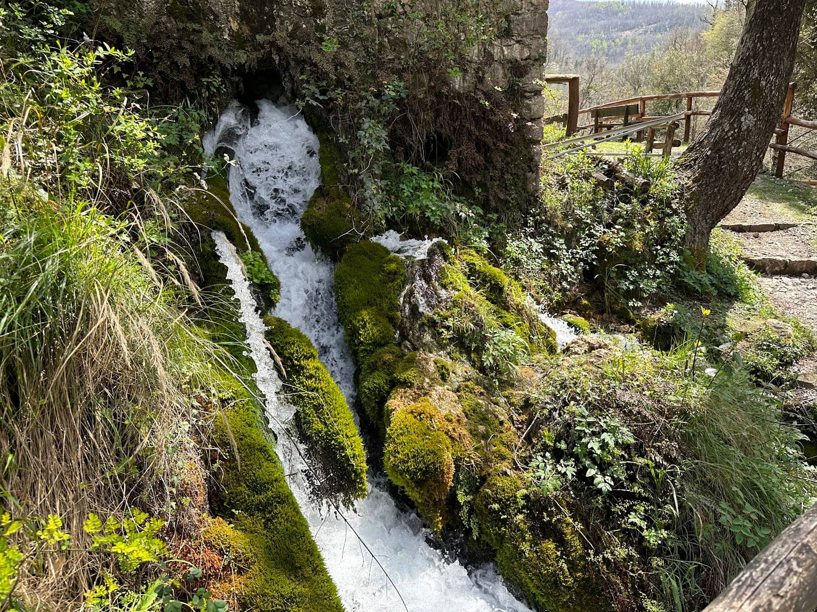 Ruined Mill