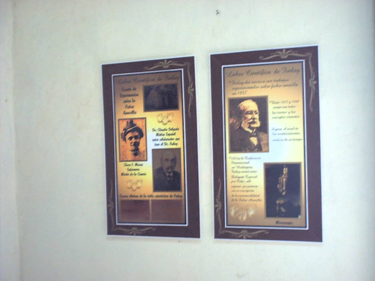 Yellow Fever Research Legacy