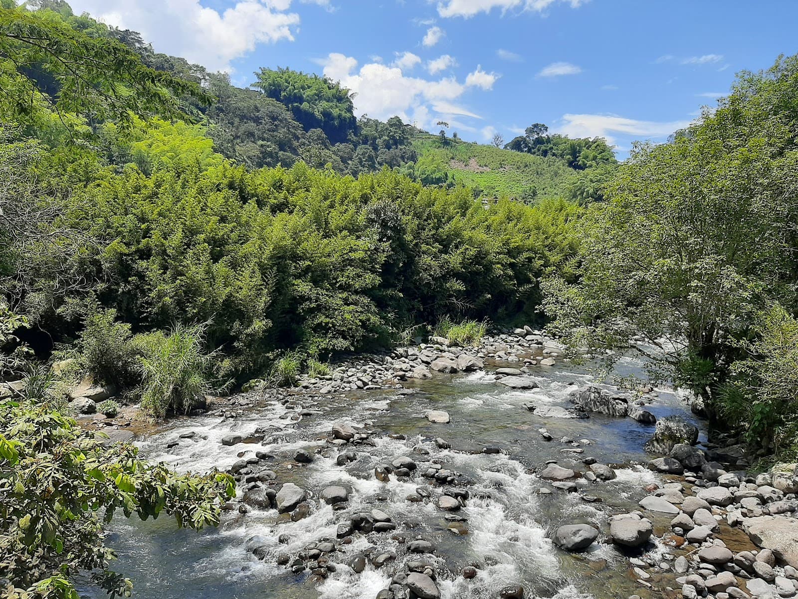 Parque Lineal del Río Otún - Image 1