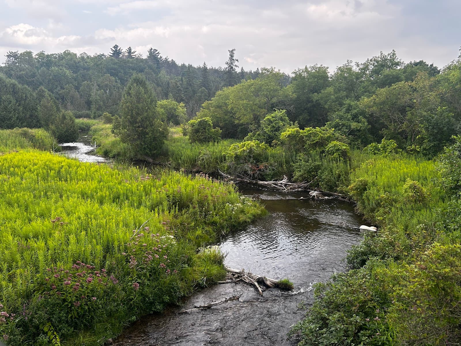 Alton (village) - Image 1
