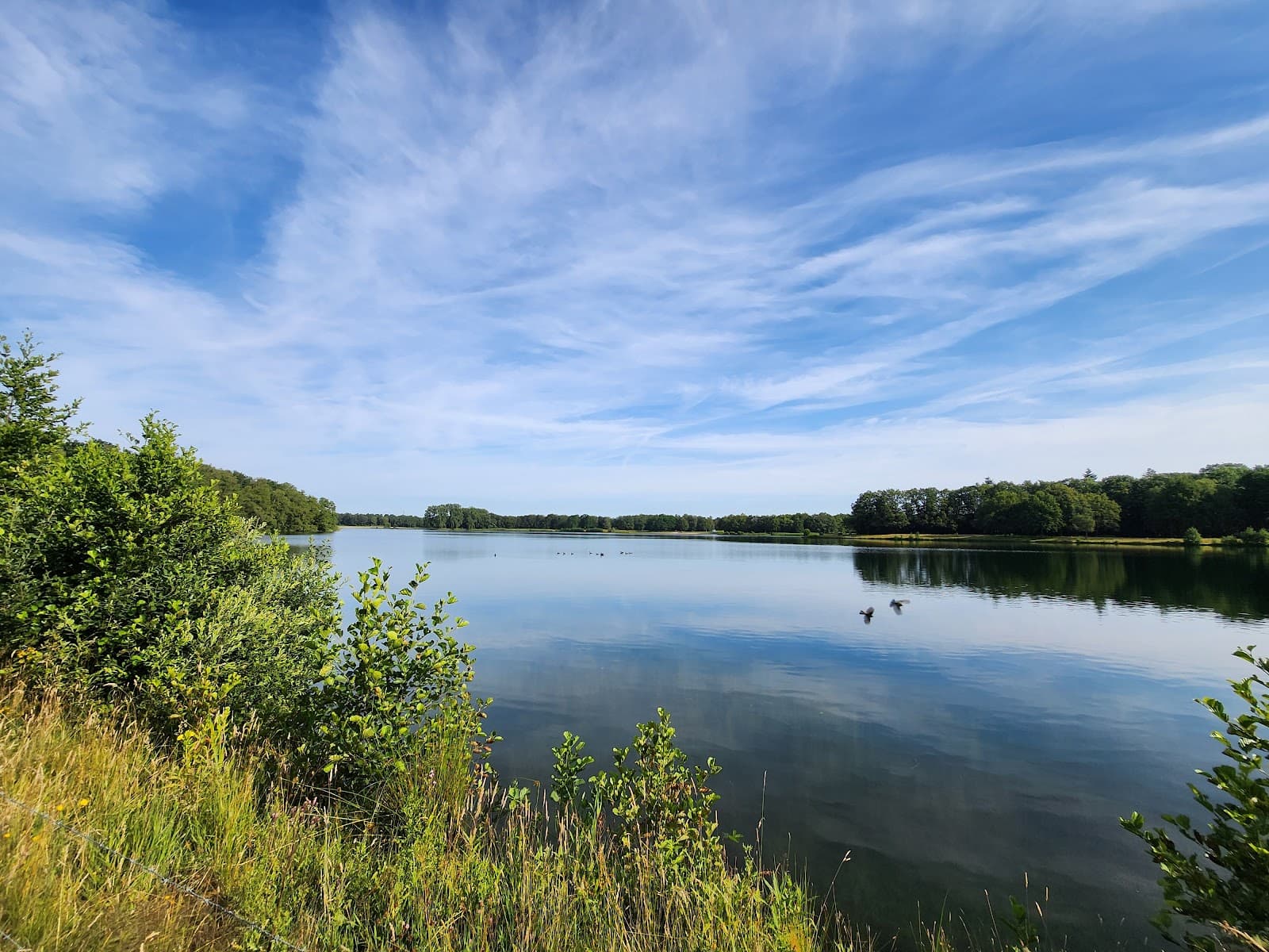 Bussloo Recreation Area - Image 1