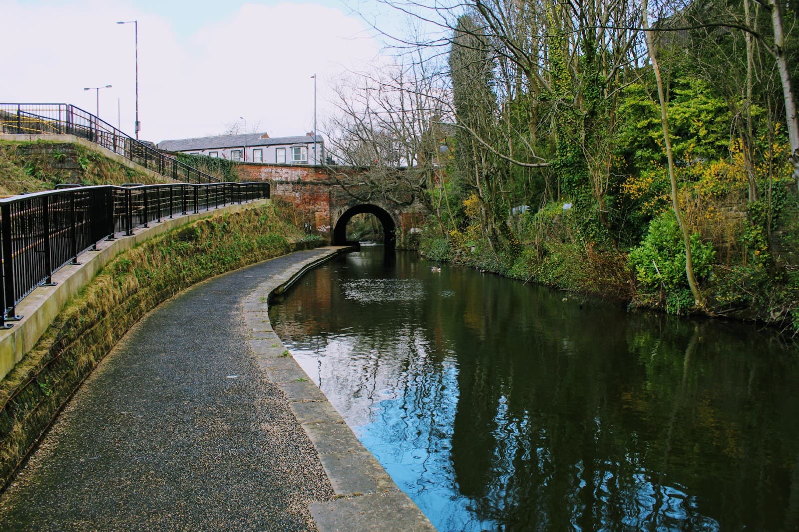 Guide Bridge - Image 1