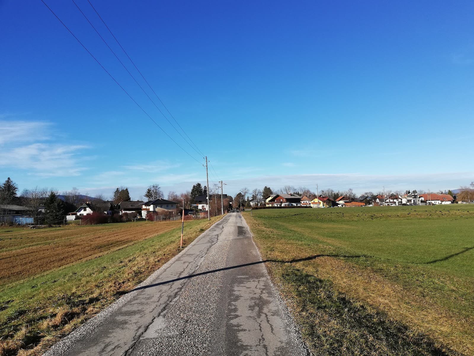 Leopoldskron-Moos - Image 1