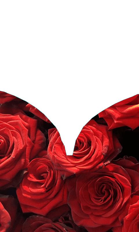 Pueblo Nuevo - Image 1