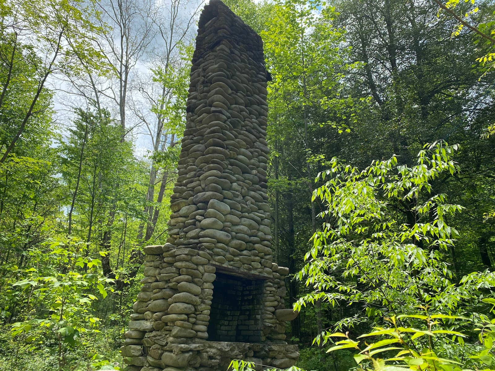 Vertical photo