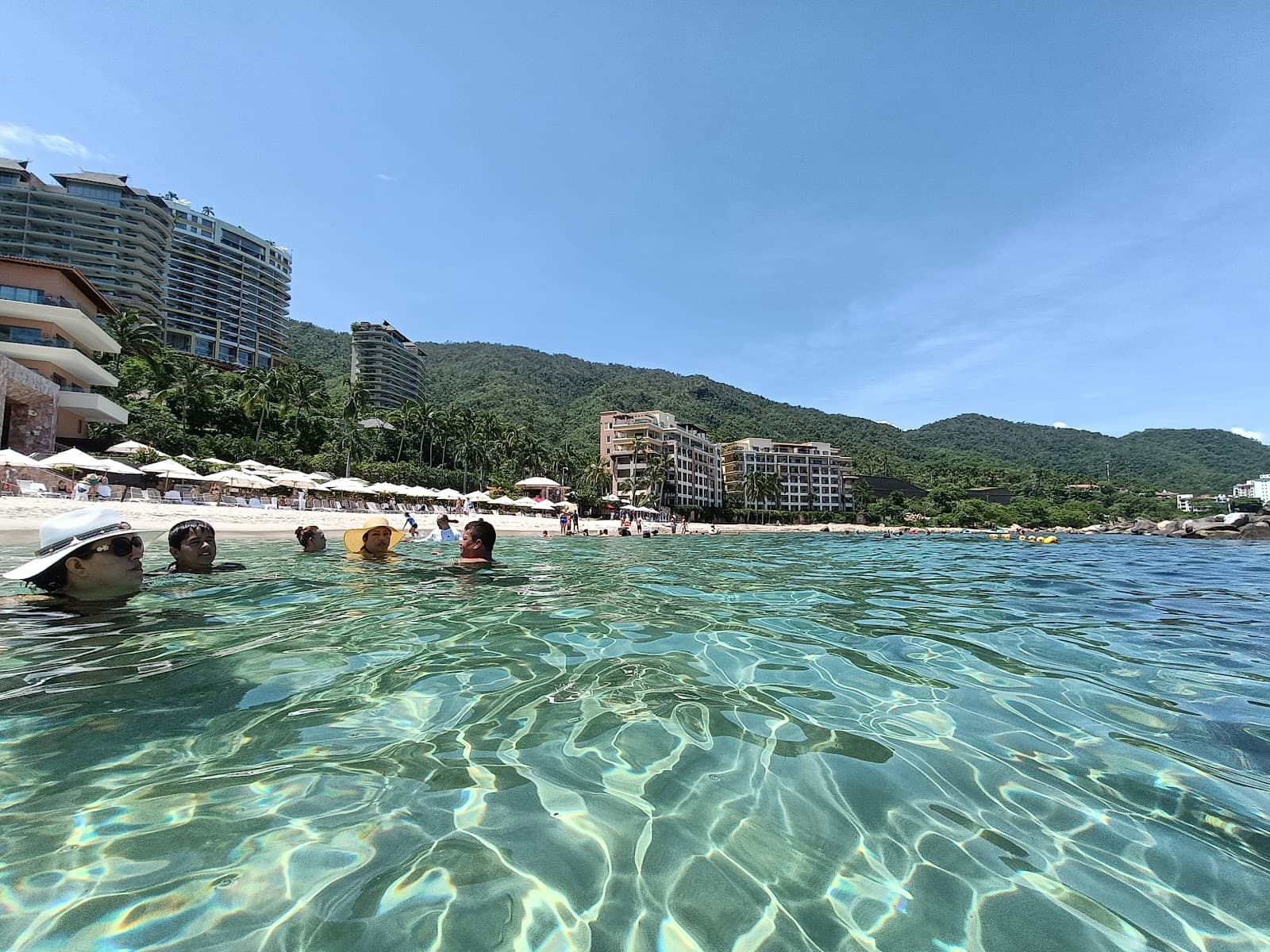 Whale Watching from Shore