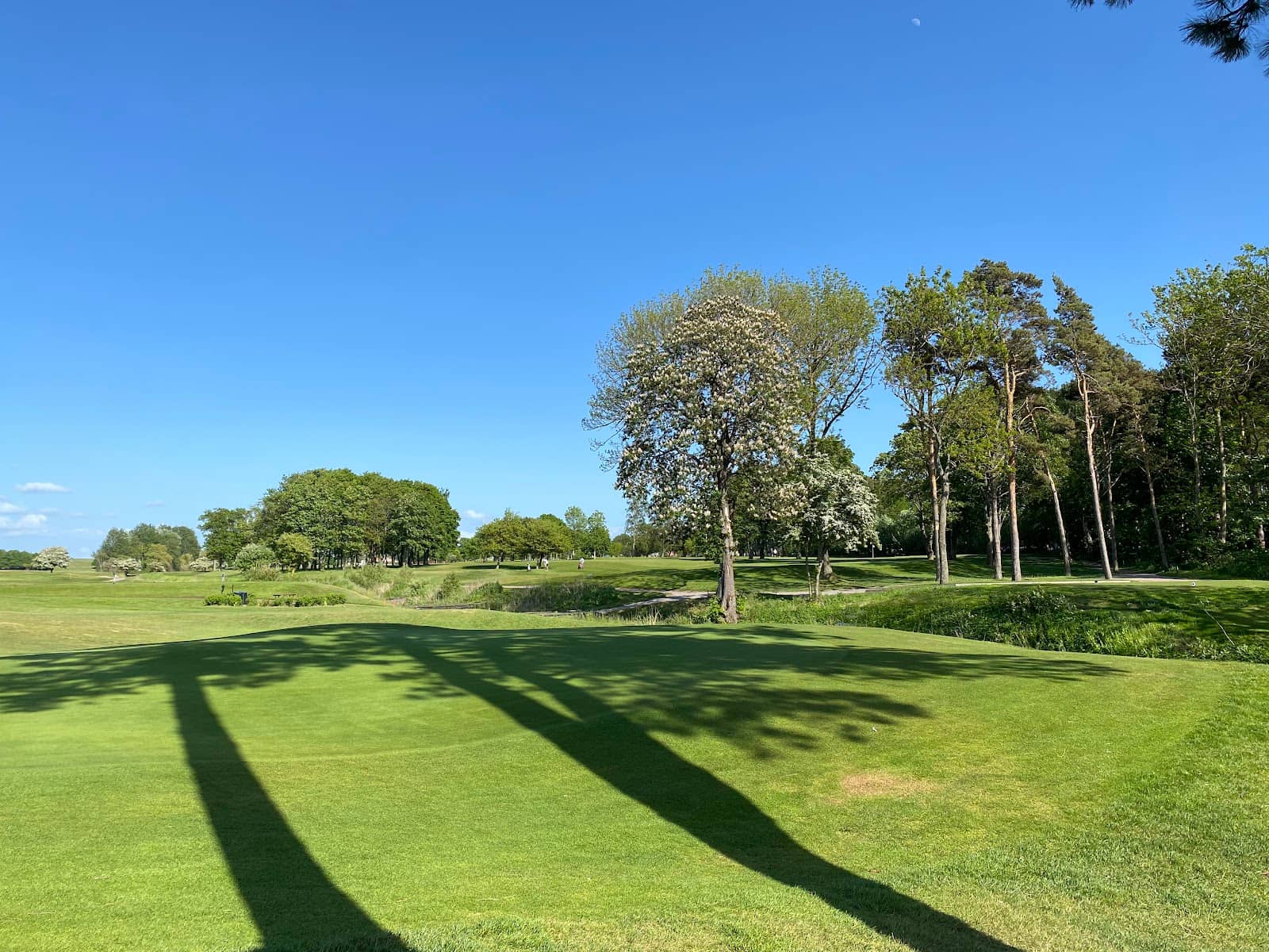 Challenging Seaside Golf