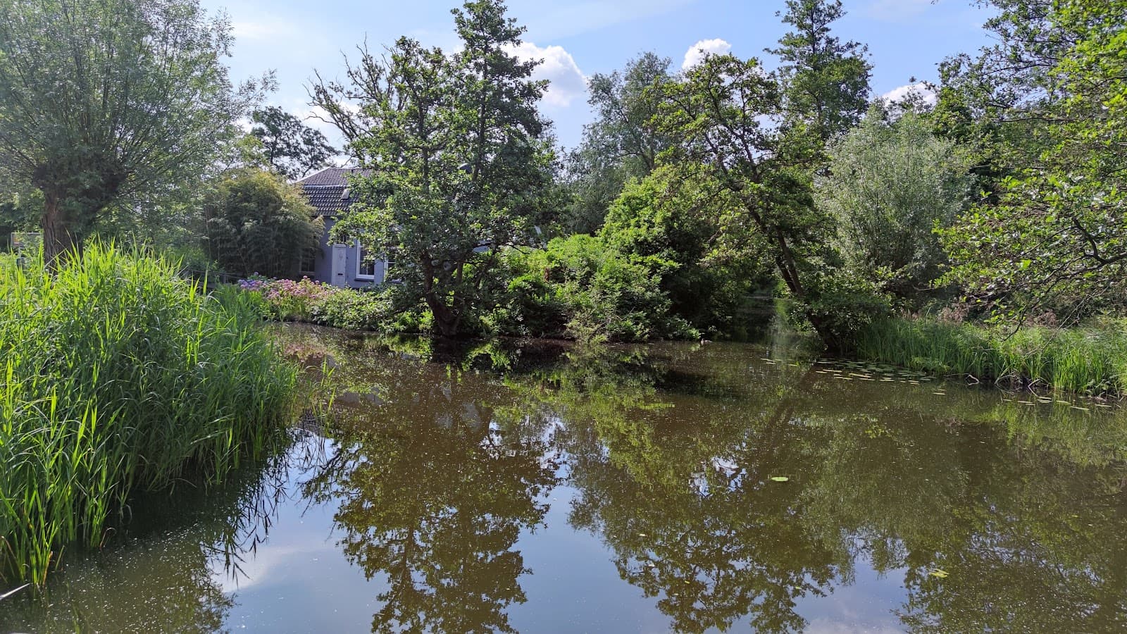Ankeveense Plassen - Image 1