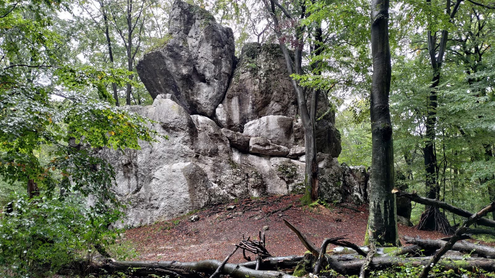 Sokole Góry Nature Reserve - Image 1