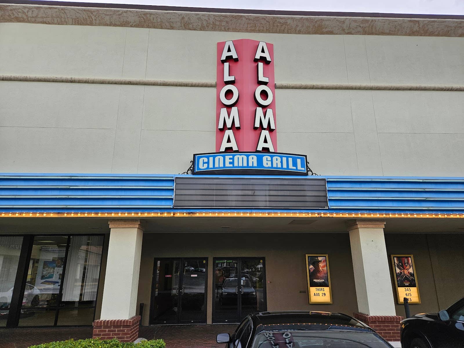 Live Concerts and Events