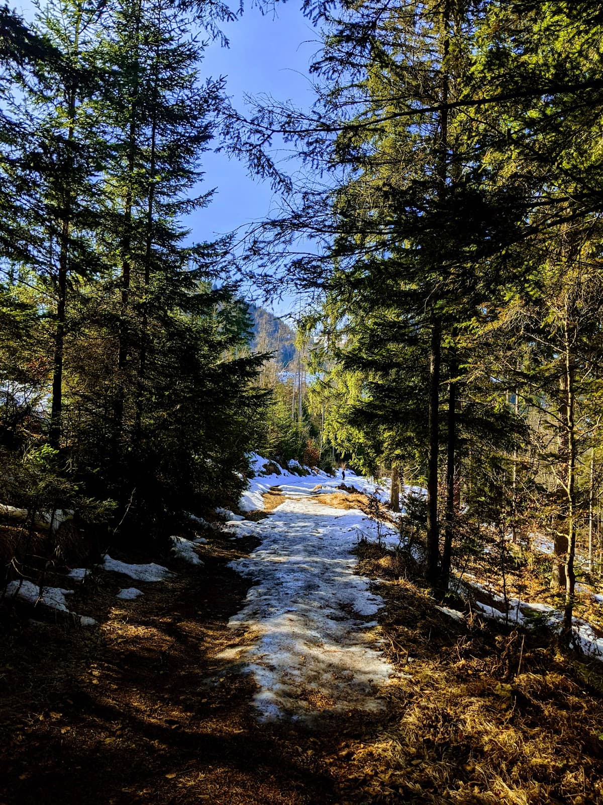 Vertical photo