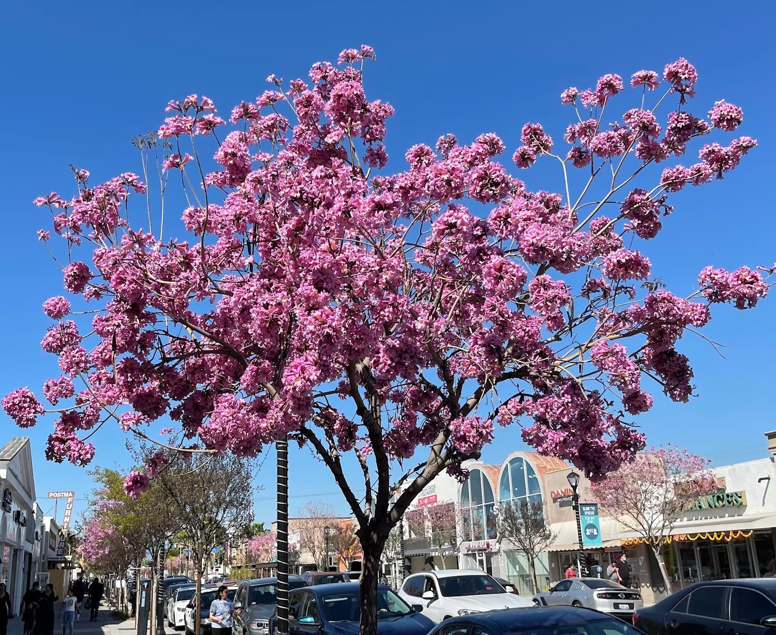 Little India, Artesia - Image 1