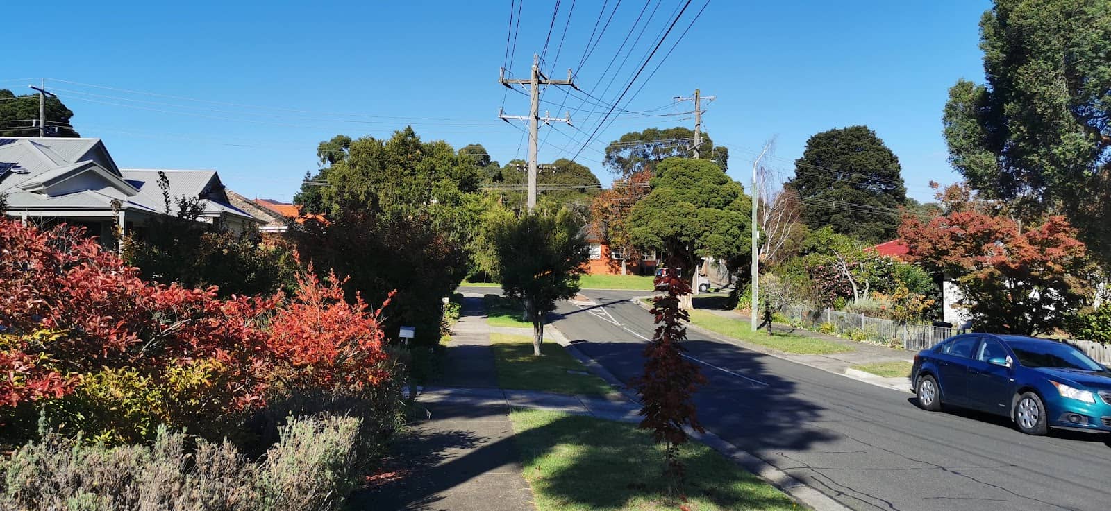 Local Culinary Delights