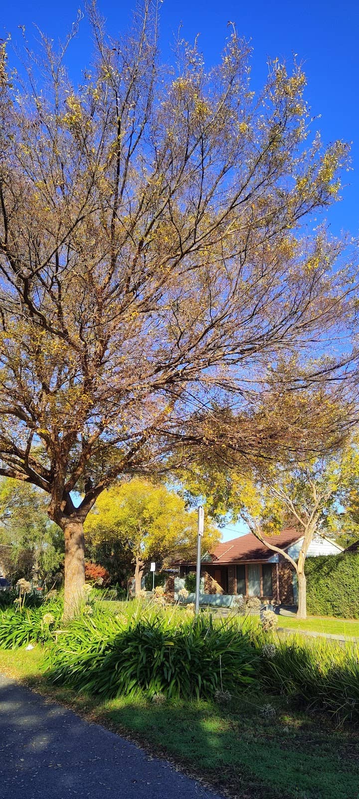 Vertical photo