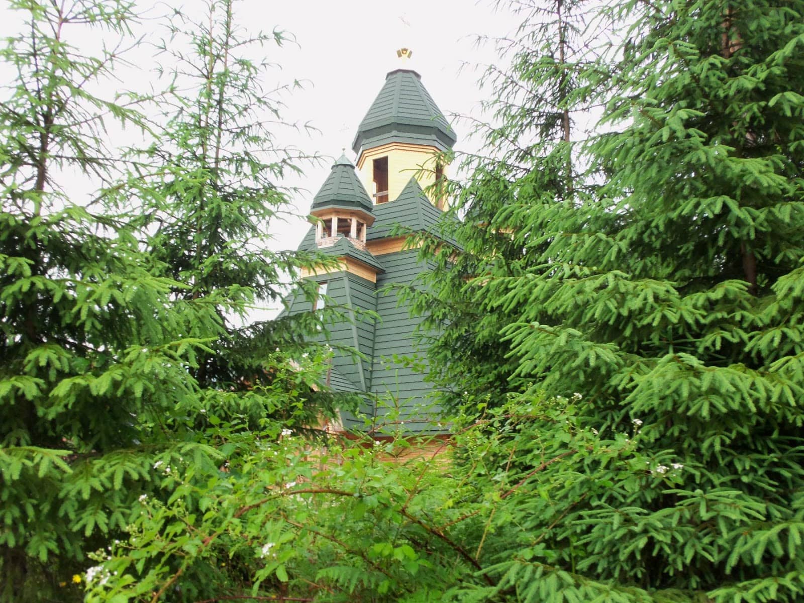 Vertical photo