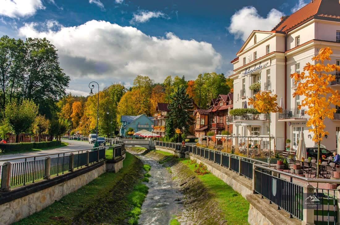 Family Entertainment Hub