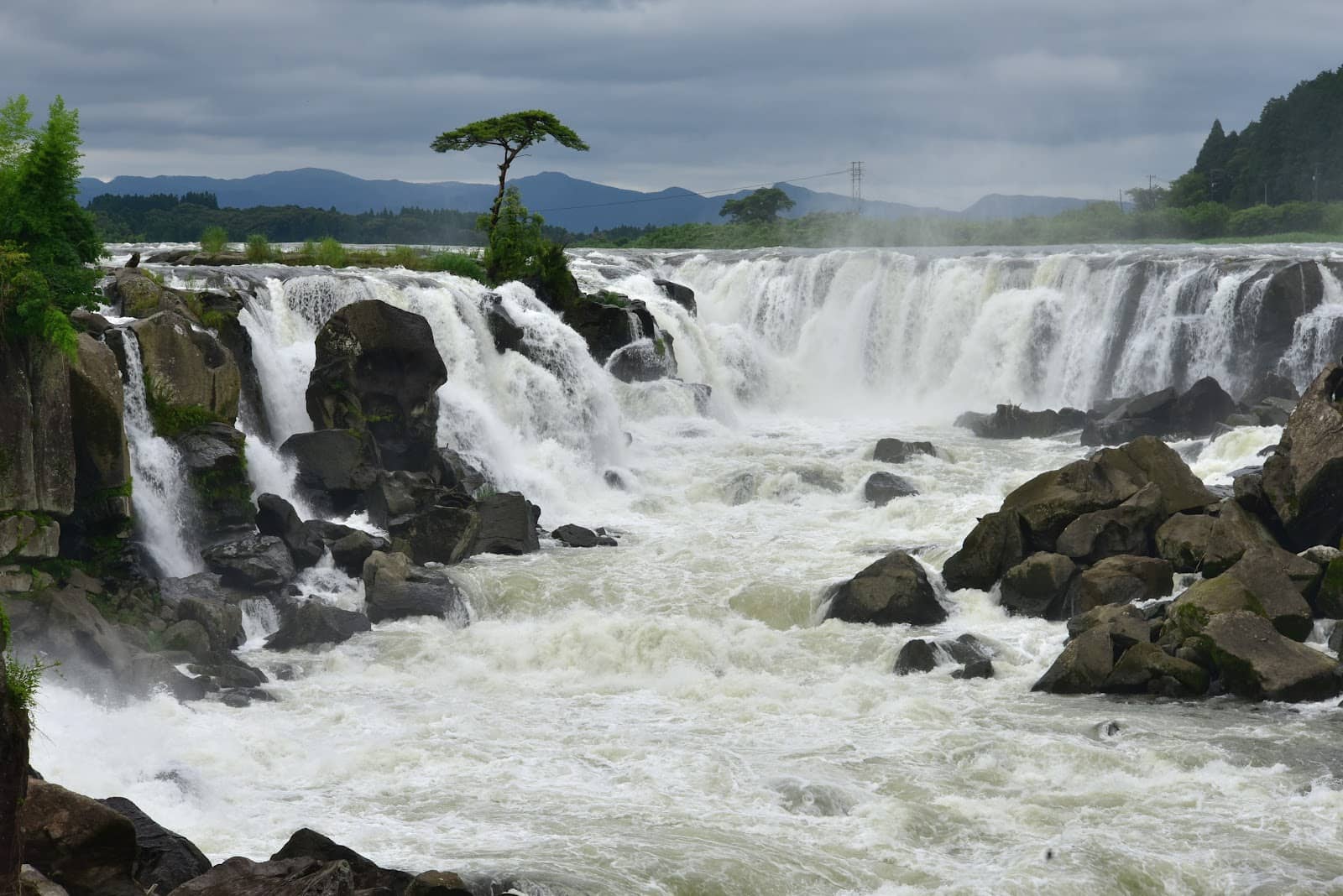 Lush Green Surroundings