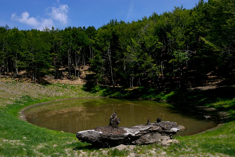 Lago degli Idoli (Monte Falterona) - Image 1
