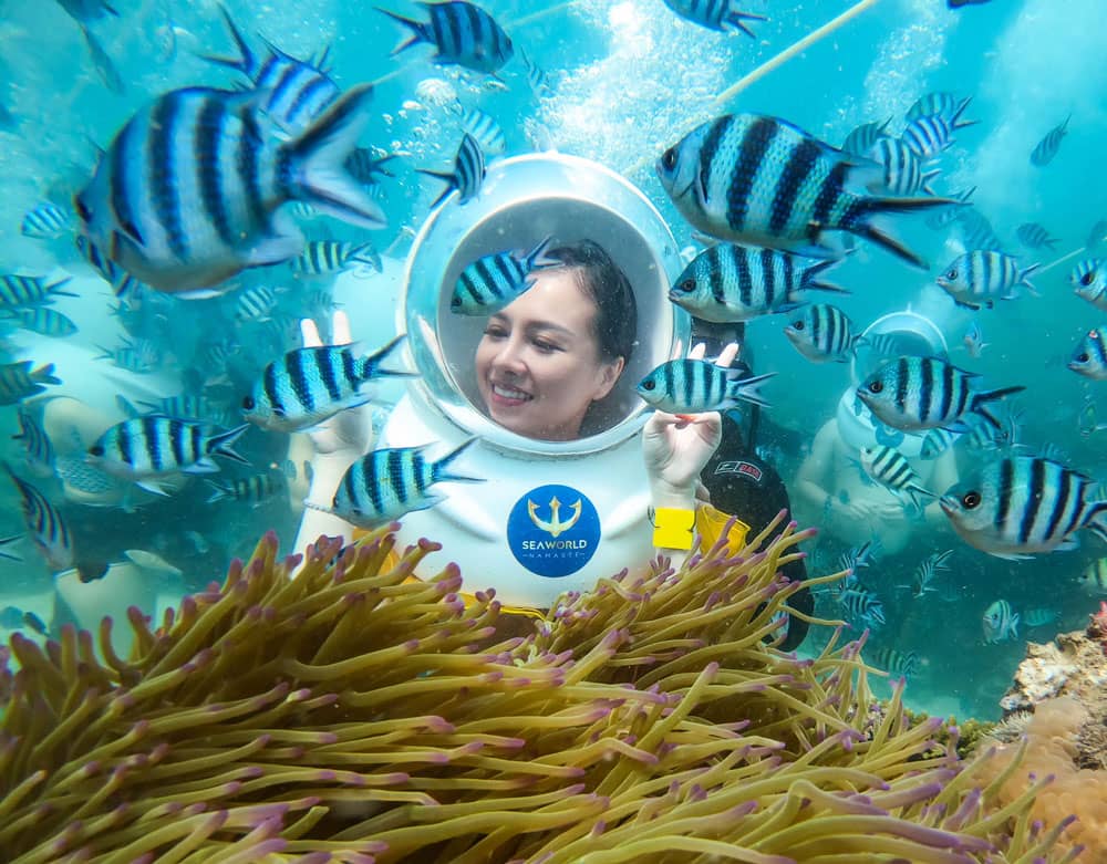 Guided Marine Exploration
